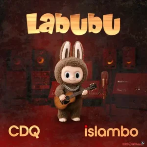 Labubu Album Cover