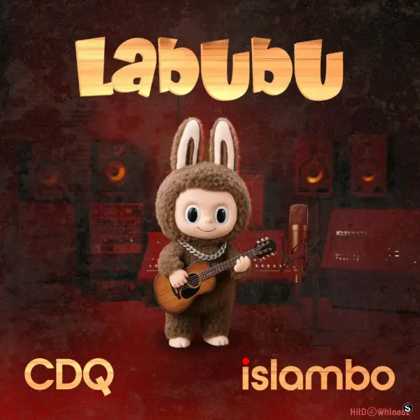 Labubu cover art
