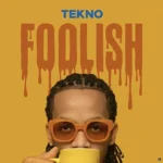 Foolish Album Cover
