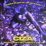 Shona Phantsi / On Da Floor Cover Art