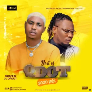 Best of Qdot Mix Album Cover