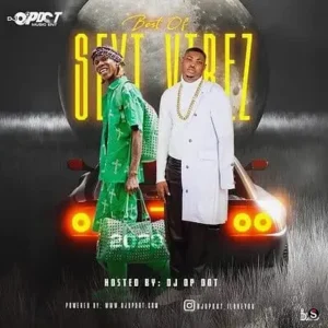 Best of Seyi Vibez Mix (2023) Album Cover