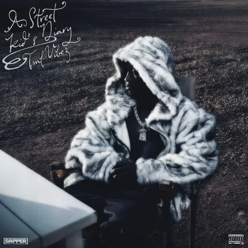 Cover of album 'A Street Kid's Diary' by Tml Vibez