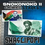 Snokonoko II (Remix) Album Cover