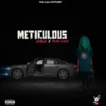 Meticulous Cover Art