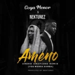 Ameno Amapiano (Remix) Album Cover