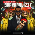 Shakabulizzy (Remix) Cover Art