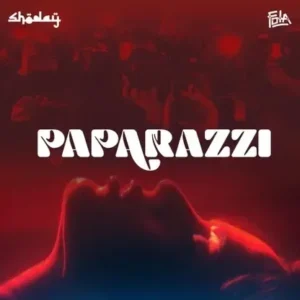 Paparazzi Album Cover