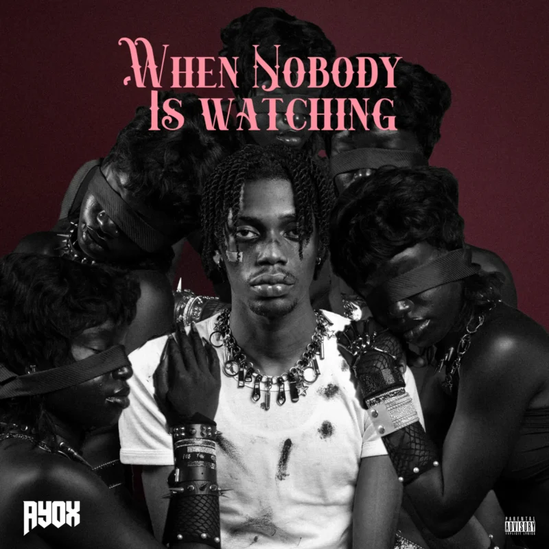 Cover of album 'When Nobody is Watching EP' by Ayox