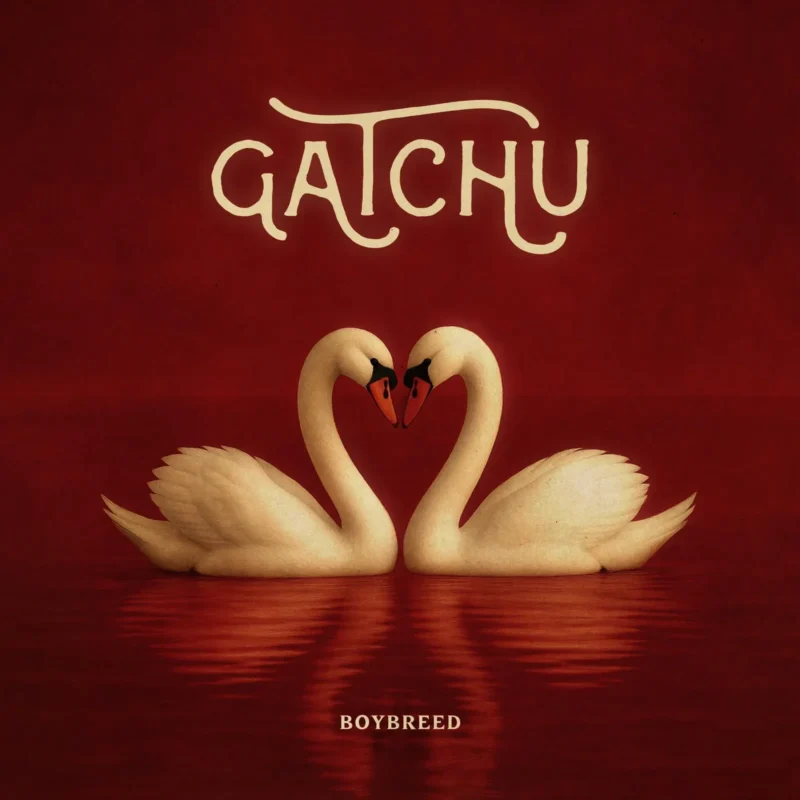 GATCHU cover art
