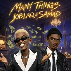 Many Things Album Cover