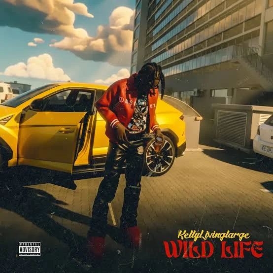 Wild Life cover art