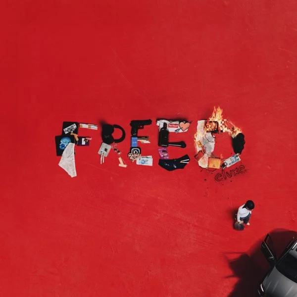 Cover of album 'Free (Deluxe)' by Nasty C