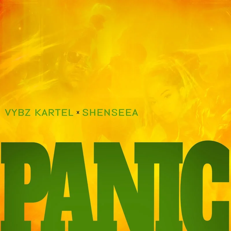 Panic cover art