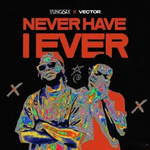 Never Have I Ever Album Cover