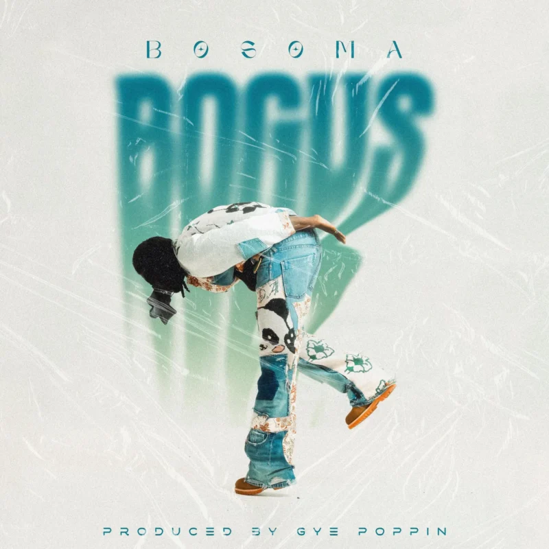 Bogus cover art