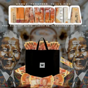 Mandela Album Cover