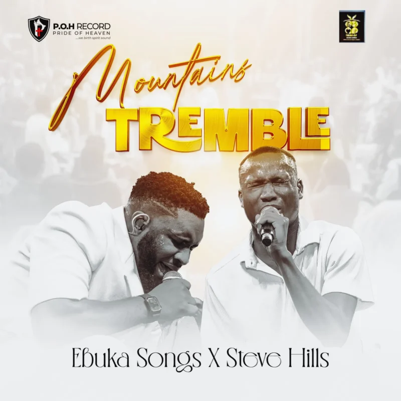 Mountain Tremble (Live) cover art