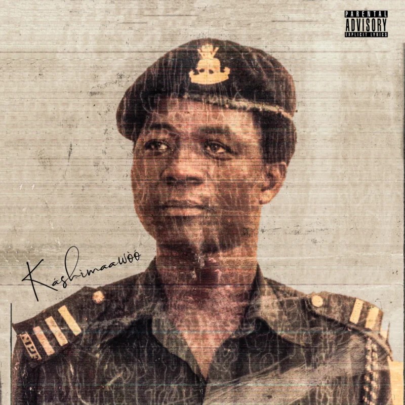 Cover of album 'Káshìmaawòó' by Laycon