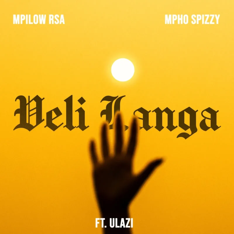 Veli Langa cover art