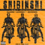 Shibinshi (Eyan Ekerencha) Album Cover