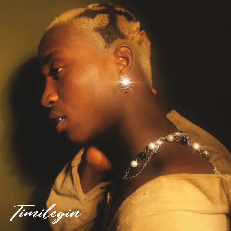 Cover of album 'Timileyin EP' by Tml Vibez