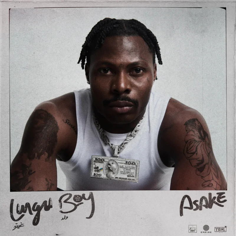 Cover of album 'Lungu Boy'