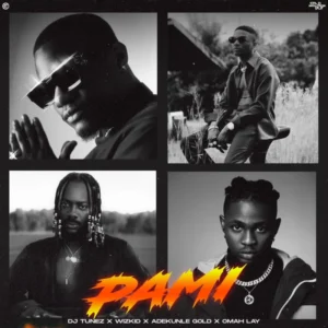 PAMI Album Cover