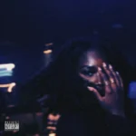 fine ting (fine $hit) Album Cover