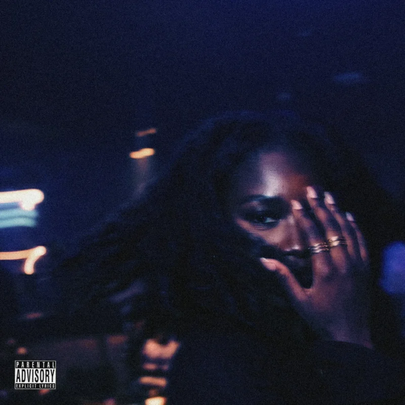 fine ting (fine $hit) cover art