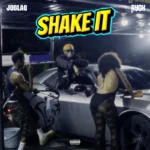 Shake It Album Cover