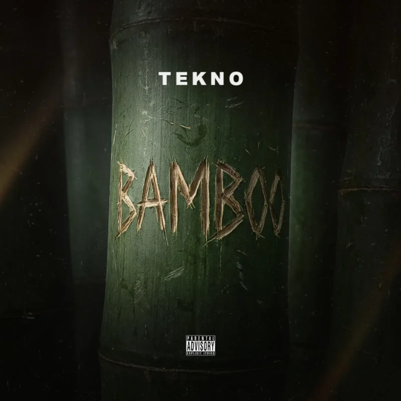 Bamboo cover art