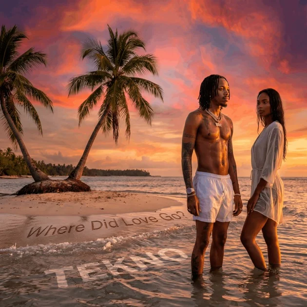 Cover of album 'Where Did Love Go?' by Tekno