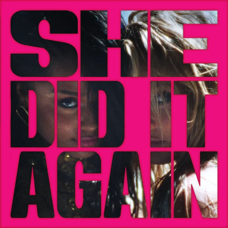 SHE DID IT AGAIN cover art