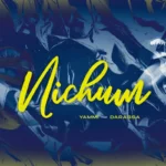 Nichum Album Cover