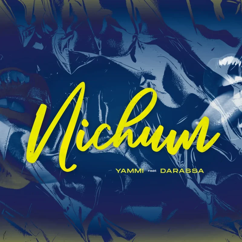 Nichum cover art