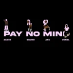 Pay No Mind Album Cover