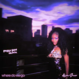 Where Do We Go (Peggy Gou Remix) Album Cover