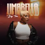 Umbrella Art Cover