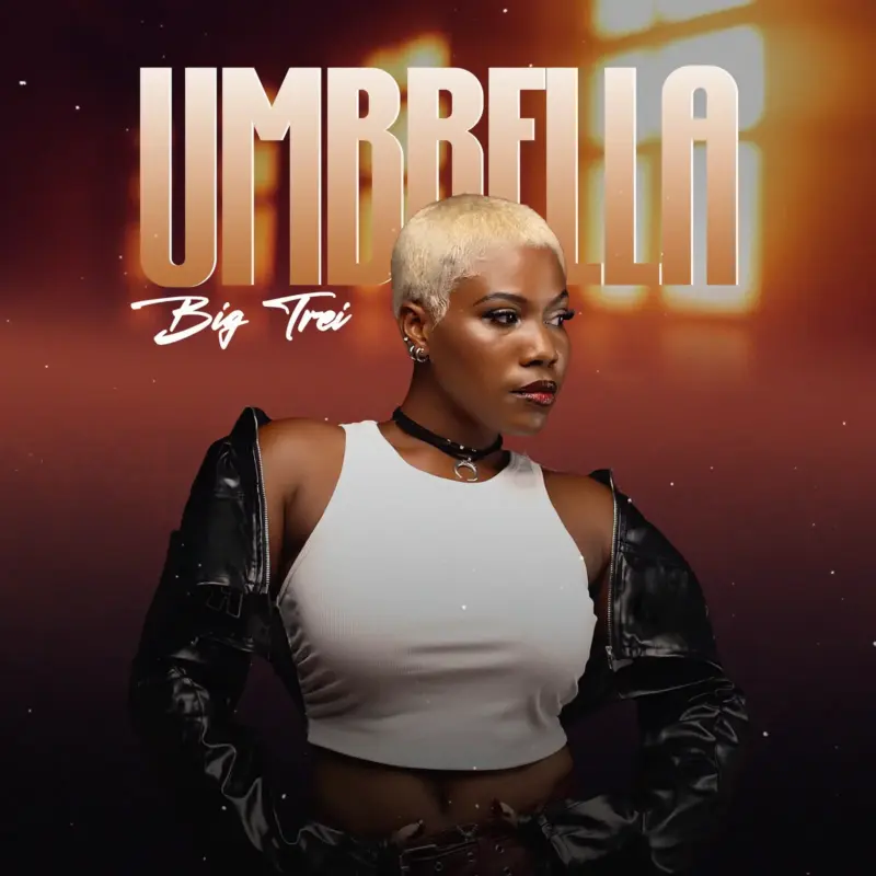 Umbrella cover art