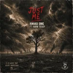 Just Me Album Cover