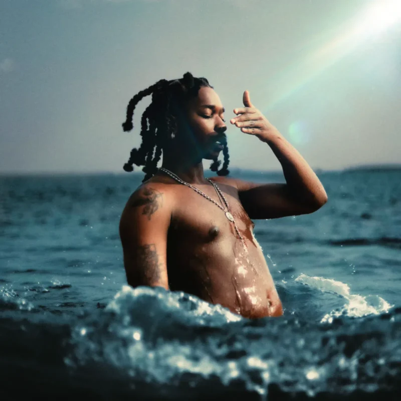 Cover of album 'I Dream In Color'