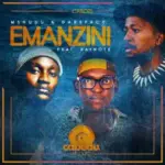 Emanzini Art Cover