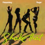 Shake That Album Cover
