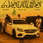Ashes Album Cover