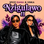 Nzigulawo II Album Cover