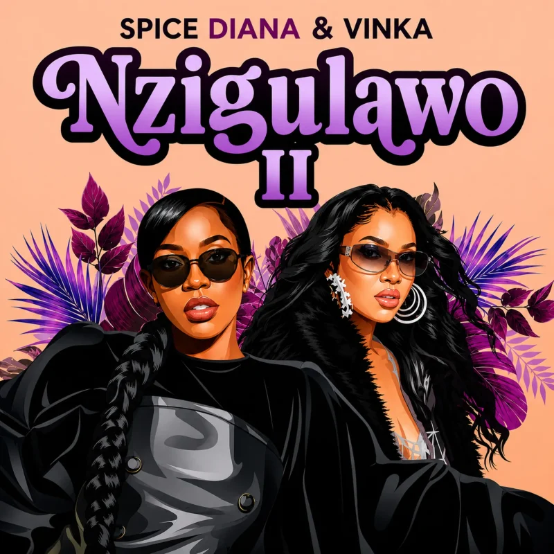 Nzigulawo II cover art