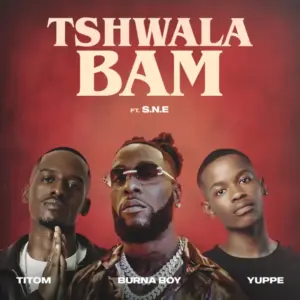 Tshwala Bam (Remix) Album Cover