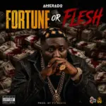 Fortune or Flesh Art Cover
