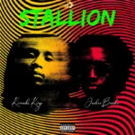 Stallion Art Cover